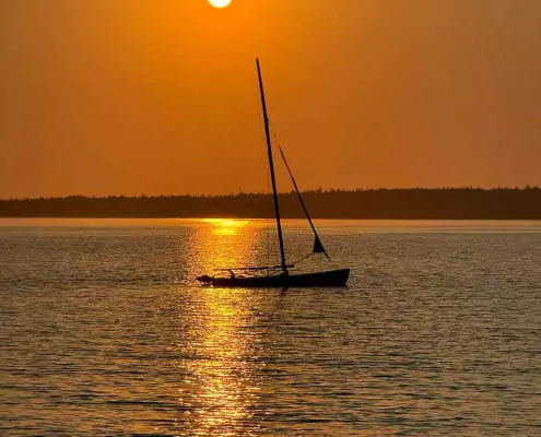 Sonnenaufgang über Port Mouton Island Ein Segelboot gleitet bei Sonnenuntergang über das ruhige Wasser, die Sonne spiegelt sich im Meer.