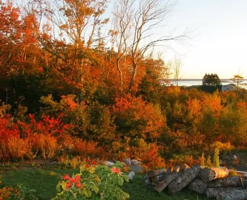 Indian Summer, Beach Heaven Ferienhaus, Nova Scotia Indian Summer, Beach Heaven Ferienhaus, Nova Scotia
